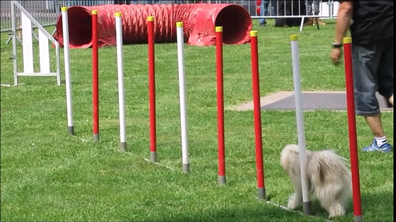 Les jardins prennent leurs quartiers tout le week-end à Saint-Dié-des-Vosges