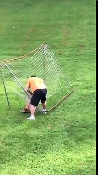 Ce Faon coincé dans le filet des cages de foot a voulu jouer !