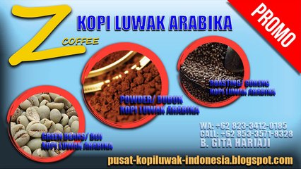MURAH!!!, WA: +62 823-3412-0185, Kopi Luwak Arabika Murni Bondowoso