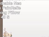 SPRING BED PILLOWS  Newest Breathable Neck and Back PainRelieving Sleeping Pillow with