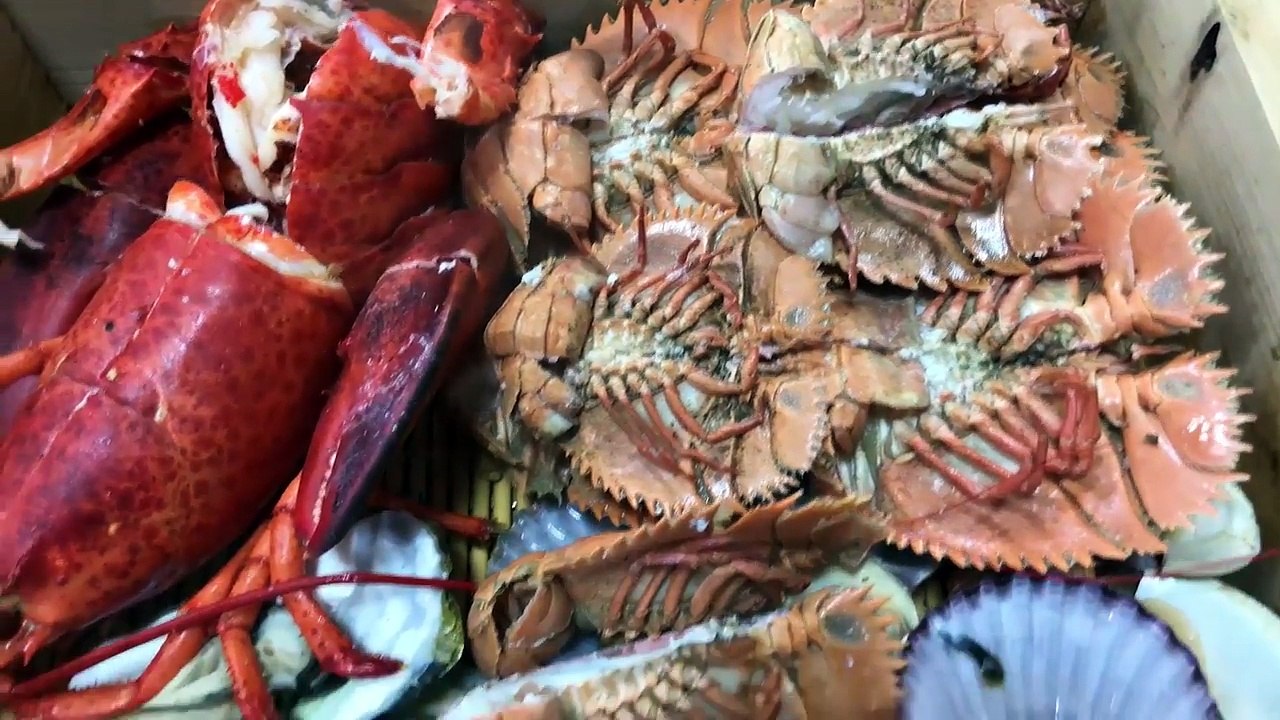 Korean LUNCH BOX on High Speed Train & Busan Food Adventure