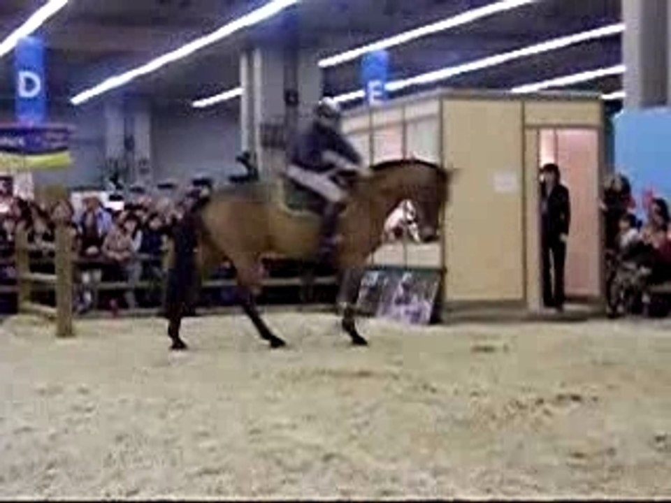Salon cheval 2007