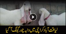 Lamb-stealing gang busted in Karachi's Liaquatabad area