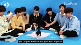 [Türkçe Altyazılı] BTS - BuzzFeed Röportajı (Köpekciklerle)
