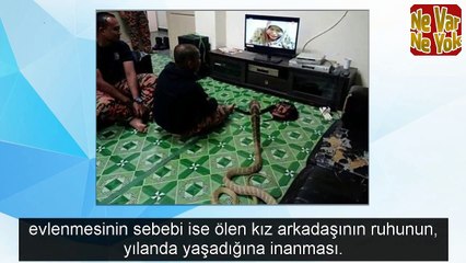 Dünya bunu da gördü kimseyi bulamadı 3 metrelik yılanla evlendi