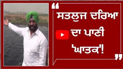 ਸਤਲੁਜ ਦਰਿਆ ਦਾ ਪਾਣੀ ਹੋਇਆ ਘਾਤਕ,ਖਹਿਰਾ ਵੱਲੋਂ ਦੌਰਾ full