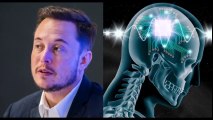 Elon Musk Announces New Project  'I'm Building A Cyborg Dragon'