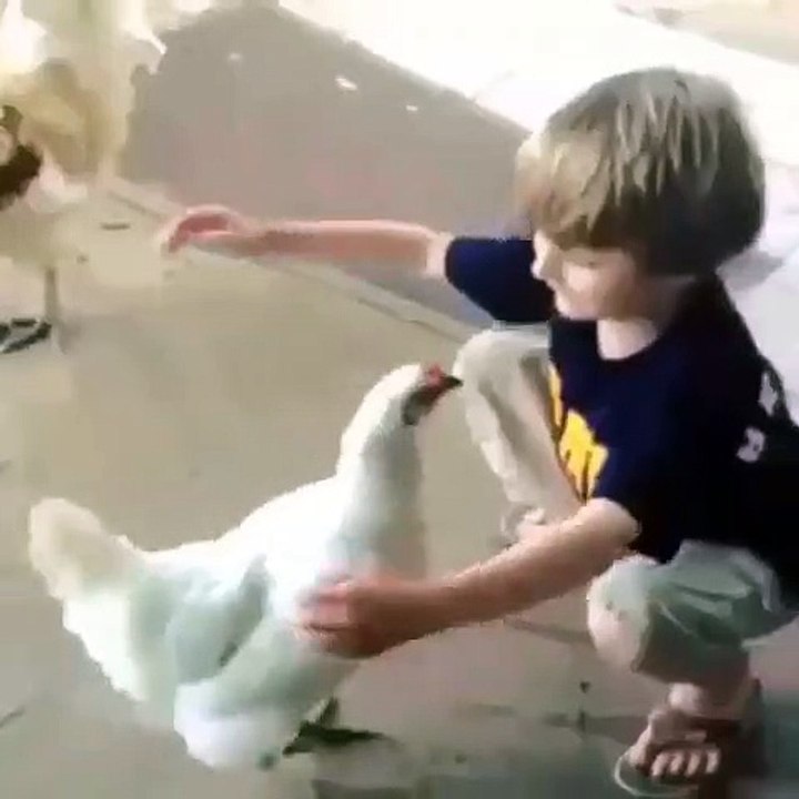 Tiểu ra máu ở nữ