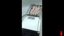 Miner ASIC Antminer L3  Bitcoin LTC litecoin how to earn money RX470 RX580 mining асик Майнинг как заработать деньги