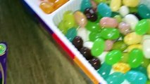 BEAN BOOZLED CHALLENGE 4TH EDITION! SUPER GROSS JELLY BEANS | THE WEISS LIFE