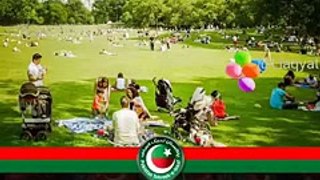 What did PTI do In kpk in their five years government ??? // plz sea the video / everything will be clear to u //  by Shehzad Shah //// by Ik Information SMT