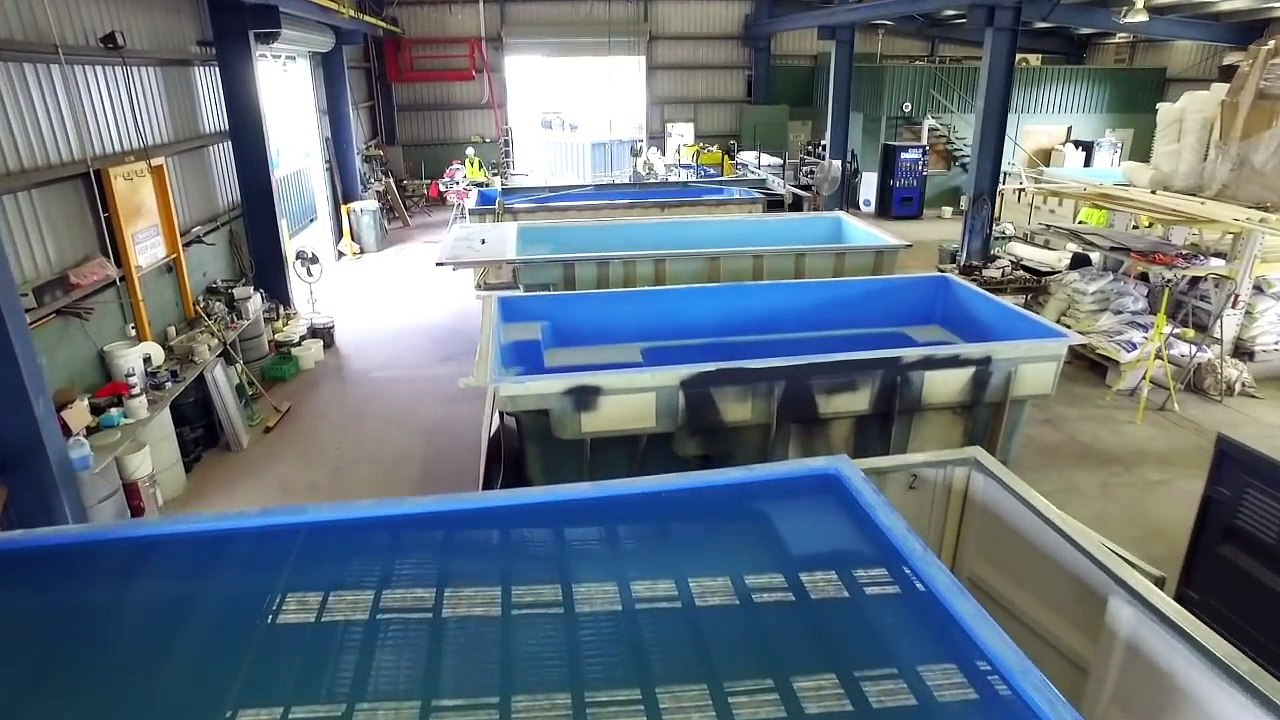 Shipping Container Pools