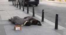 Taksim'de Köpeğine Sarılarak Uyuyan Çocuk, Yürek Sızlattı