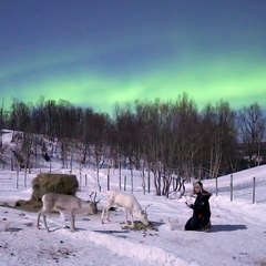 I love the sound and look of -18 celsius and reindeers beneath the aurora ❤️