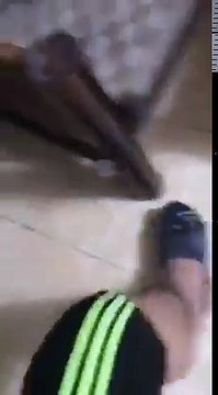 Cảnh tượng hãi hùng ngôi nhà bị gián xâm chiếm sau mưa khiến CĐM phát hoảng