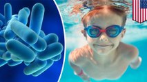 Hotel pools and hot tubs teeming with bacteria and parasites