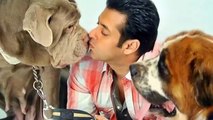 Salman Khan Lifestyle, Net Worth, Salary, House, Biography, Pets, Cars, Bikes, Affairs And Family