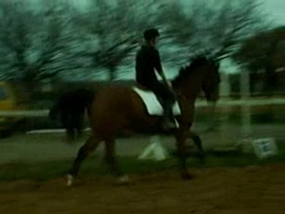 Dressage avec Sol.