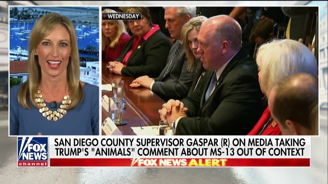 Media take Trump's 'animals' comment out of context