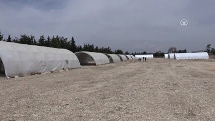 Suriyeliler Bayram İçin Ülkelerine Gidiyor