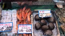 Turban Shell Barbecue & Clam Sashimi - Street Food Japan