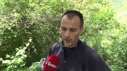 Vijojne kerkimet per turistin ne 'Shpellen e Pellumbasit'