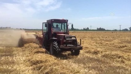 CHP'nin Cumhurbaşkanı Adayı İnce, Tarlada Traktör Kullandı