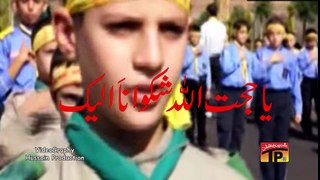 Ya Hujat Ulallah Shikwana Elaik Video Noha by Shadman Raza 2016 ~ Humaliwalayazadar.club