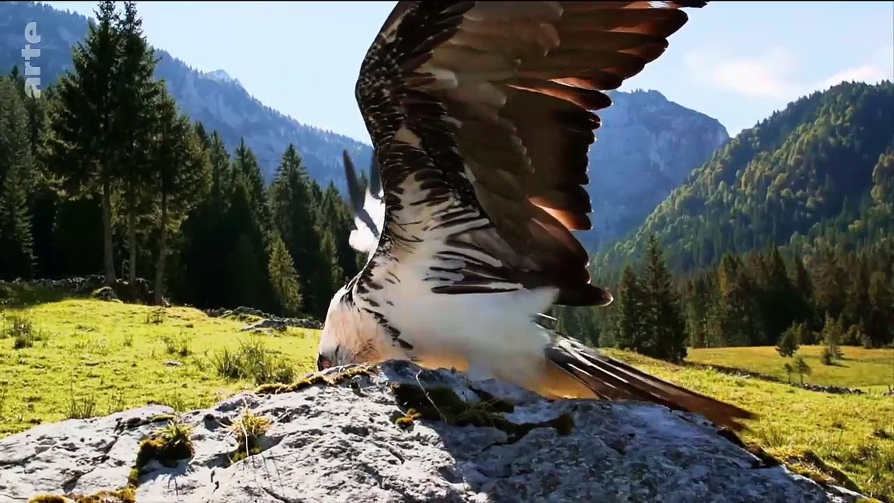 Les Alpes à travers les âges