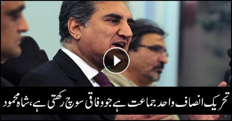 PTI is the only party that has federal thinking, Shah Mehmood