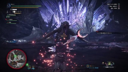 モンスターハンター：ワールド_20180520222852