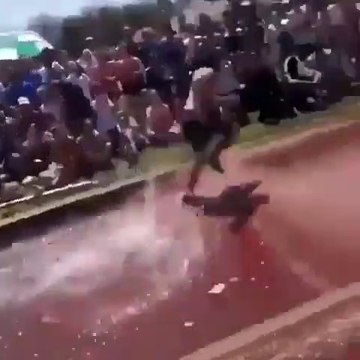 Une course de steeple qui fini en... concours de plongeons