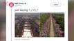 BBC Attacked After Comparing Royal Wedding Crowd Size To Trump's Inauguration Crowd