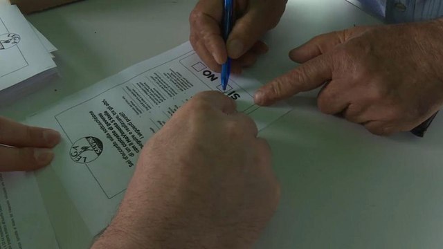 Lega und Fünf Sterne: Abstimmung über Italien-Koalition