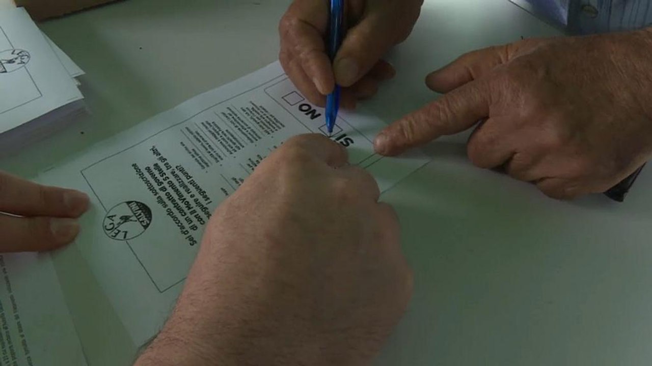 Lega und Fünf Sterne: Abstimmung über Italien-Koalition