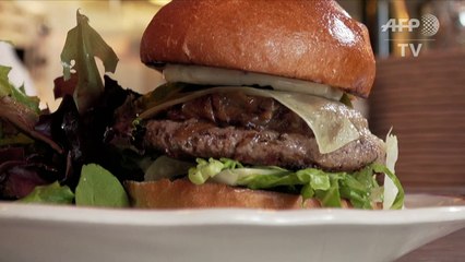 نقاش محتدم في الولايات المتحدة بشأن تصنيف منتجات اللحوم البديلة