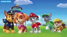 PAW PATROL finger family song paw patrol daddy finger song
