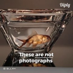 Ce ne sont pas des photos mais bien des peintures... Quel talent!!!