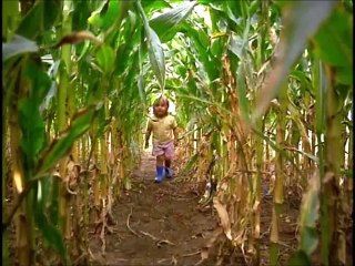 baby.einstein-mcdonald