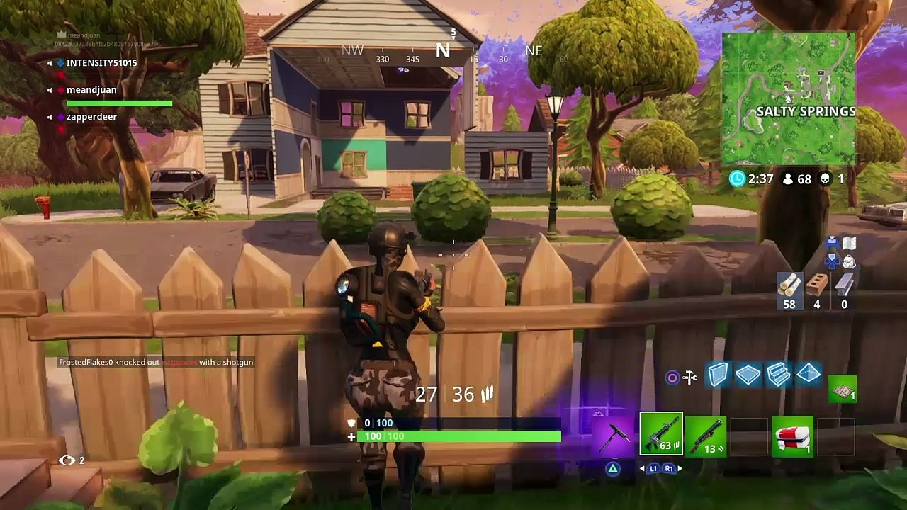 Fortnite*
