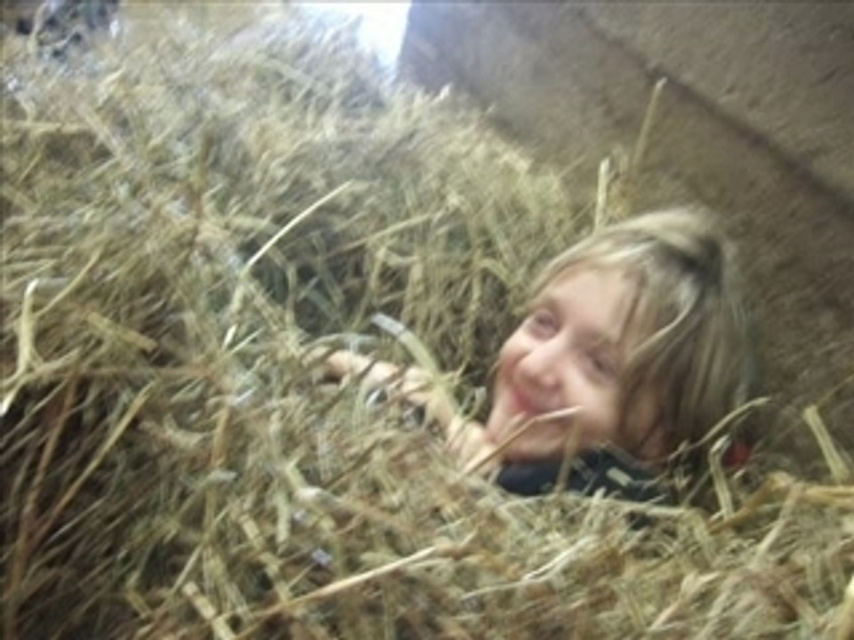 Cheval