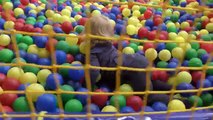 ✿ Играем в Лабиринте Indoor Playground Family Fun for Kids Indoor Play Area Playroom with Balls