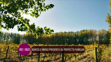 Vinos y Amigos Programa 194 Bloque 1