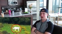 5 Mythical Creatures Caught On Camera & Spotted In Real Life! REACTION