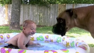 The Funniest Pets Meet The Cutest Kids & Babies of 2016 Weekly Compilation   Funny Pet Videos