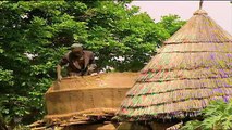 Mud Houses Batammariba | Tribes - Planet Doc Full Documentaries