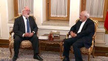 Zarif: EU must increase Iran investments to save nuclear deal