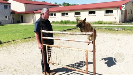 Une autre école - Devenez éducateur canin