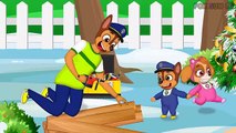 Paw Patrol Full Episodes | Pups Save Chase & Skye Brother Harmony Funny Story | Animation For Kids