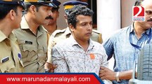 Actress attack case:  Pulsar Suni has filed a petition in the trial court